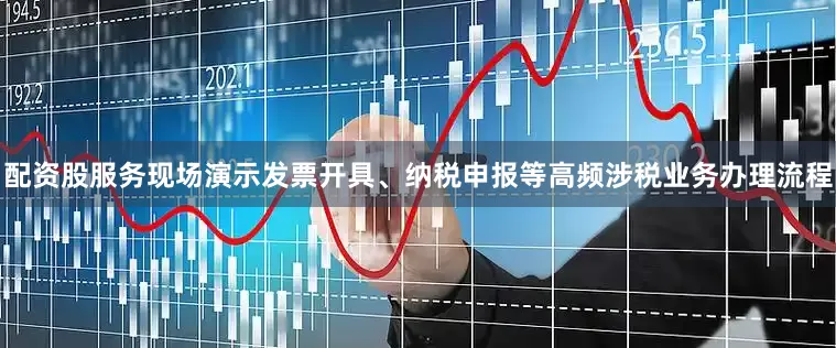 配资股服务现场演示发票开具、纳税申报等高频涉税业务办理流程