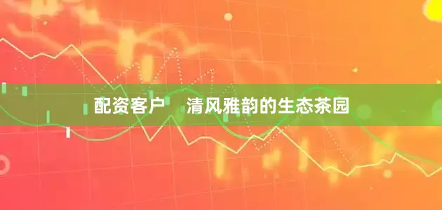 配资客户    清风雅韵的生态茶园
