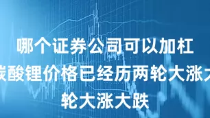哪个证券公司可以加杠杆碳酸锂价格已经历两轮大涨大跌