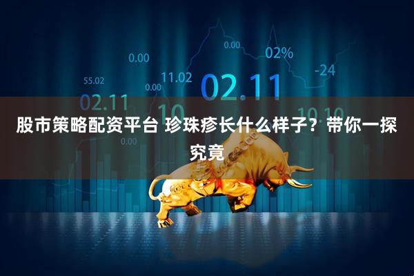 股市策略配资平台 珍珠疹长什么样子？带你一探究竟