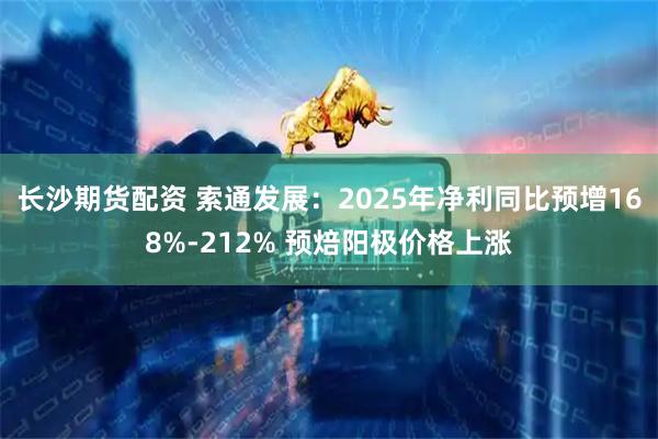 长沙期货配资 索通发展：2025年净利同比预增168%-212% 预焙阳极价格上涨